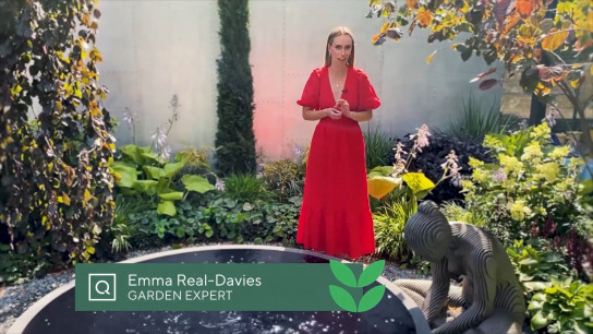 Tour of the Garden with Emma Real-Davies
