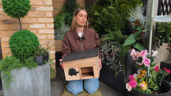 How to Create a Wildlife Friendly Garden with Emma Real-Davies