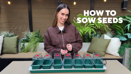 How to Sow Seeds with Emma Real-Davies