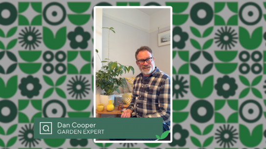 MGE Tips Houseplants
