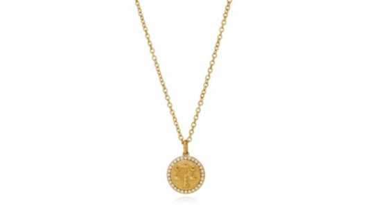 Steel by Diamonique Zodiac Pendant and Chain Stainless Steel