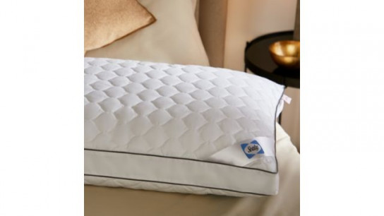 Sealy Side Sleeper Pillow