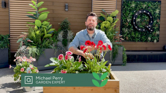 Garden Care Tips with Michael Perry