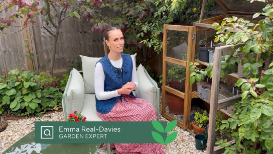 A Planting Guide with Emma Real-Davies