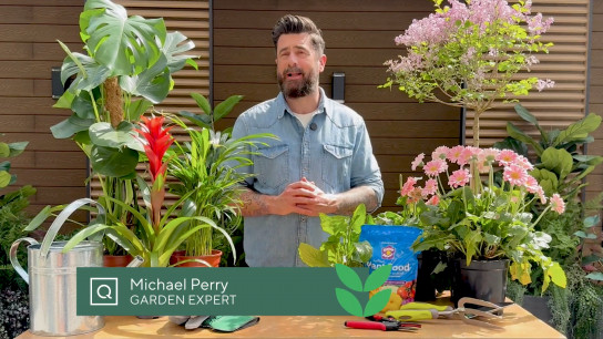 Thriving Garden with Michael Perry