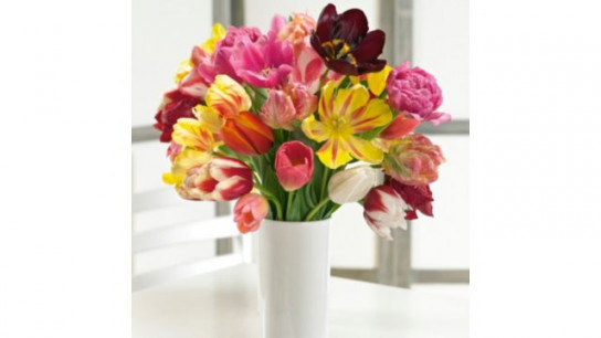 Plants2Gardens Long Flowering Tulip Mix 60x 11/12 Bulbs