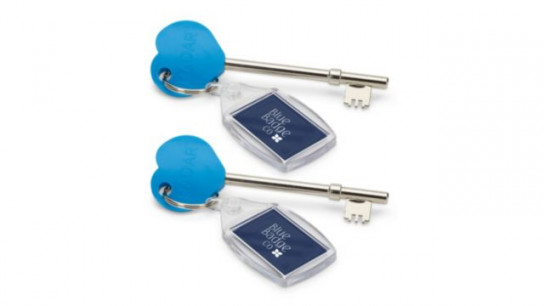 Blue Badge Co. Set of 2 Disabled Toilet RADAR Keys