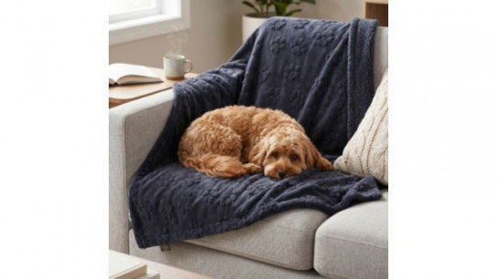 Cozee Home Sherpa Water Resistant Pet Blanket with Odourology