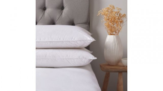 Northern Nights Premium Duck Feather & Down Pillow