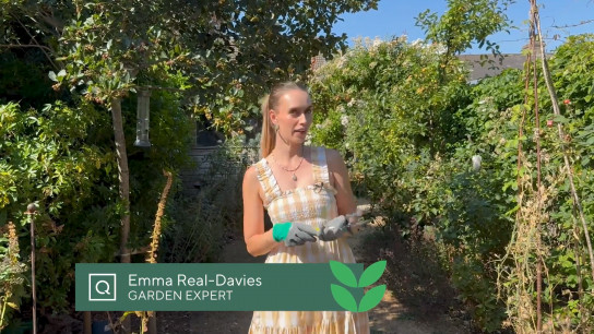 How to Prepare Your Garden for Autumn