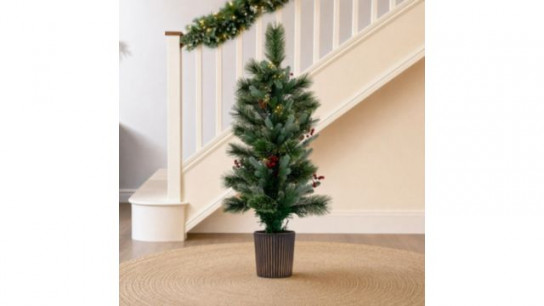 Home Stories 90cm Fibre option Berwick Pine In Pot