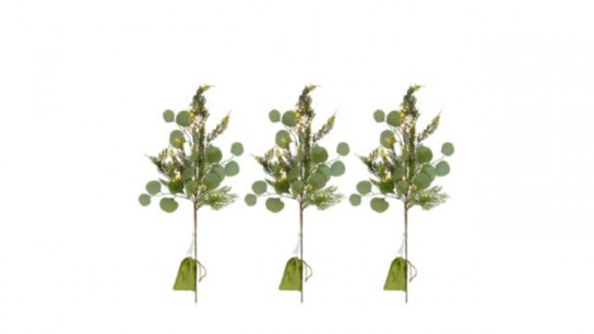 Sara by Sara Davies Set of 3 Pre Lit Eucalyptus Stems