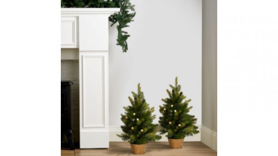 Bethlehem Lights Pre Lit Set of 2 45cm Mini Potted Trees with Timer