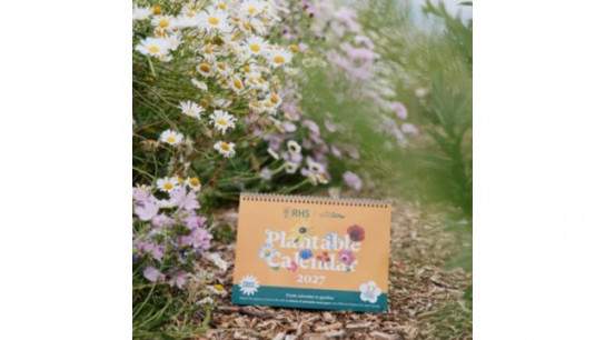Willsow RHS 2027 A4 Flower Desk Calendar
