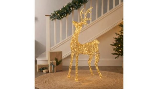 Festive Indoor/Outdoor Pre Lit Microdot Reindeer