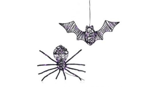 Home Stories Halloween Set of 2 Pre Lit Bat & Spider