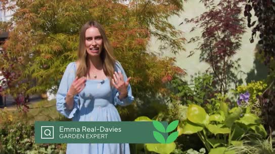 Emma Real Davies Garden Tour