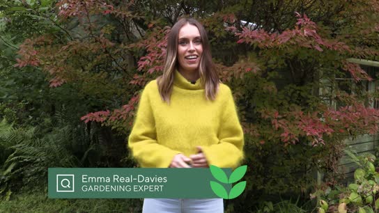 Emma Real-Davies Wildflower
