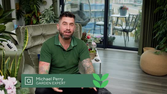 Michael Perry Houseplant Tour