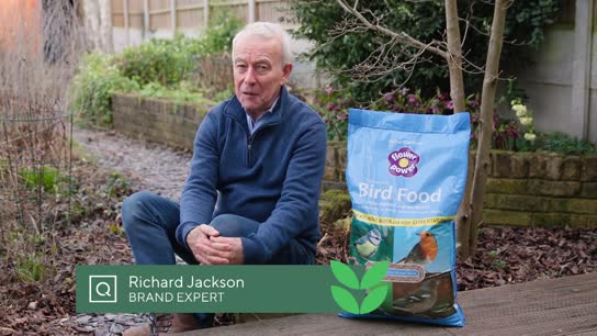 Richard Jackson Bird Food