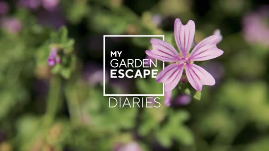 Emma Real-Davies Diaries