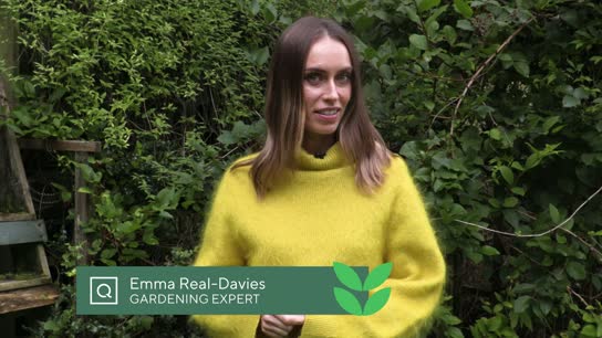 Emma Real-Davies Treehouse