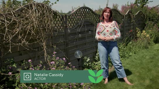 Natalie Cassidy Diaries - Lighting