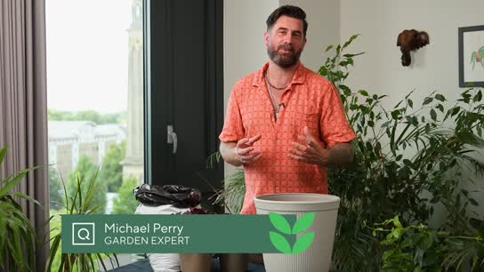 Michael Perry Lasagna Planting
