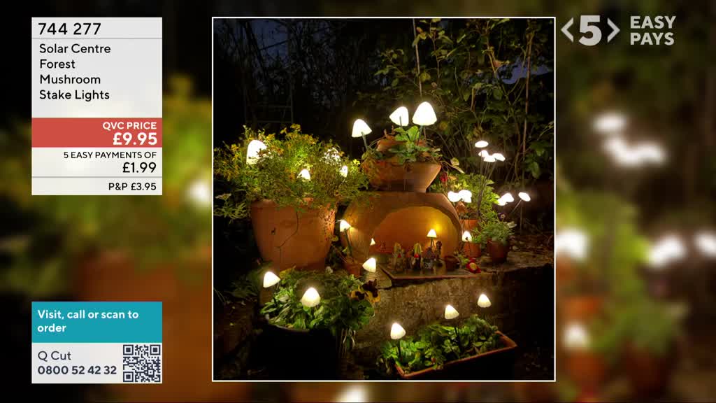 Illuminate Your Garden